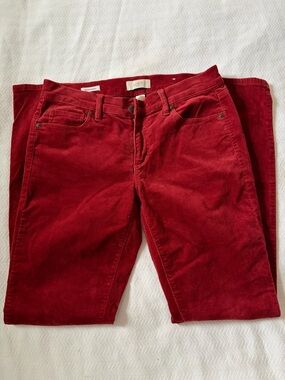 LOFT Straight Leg Corduroy Jeans - Ruby Red